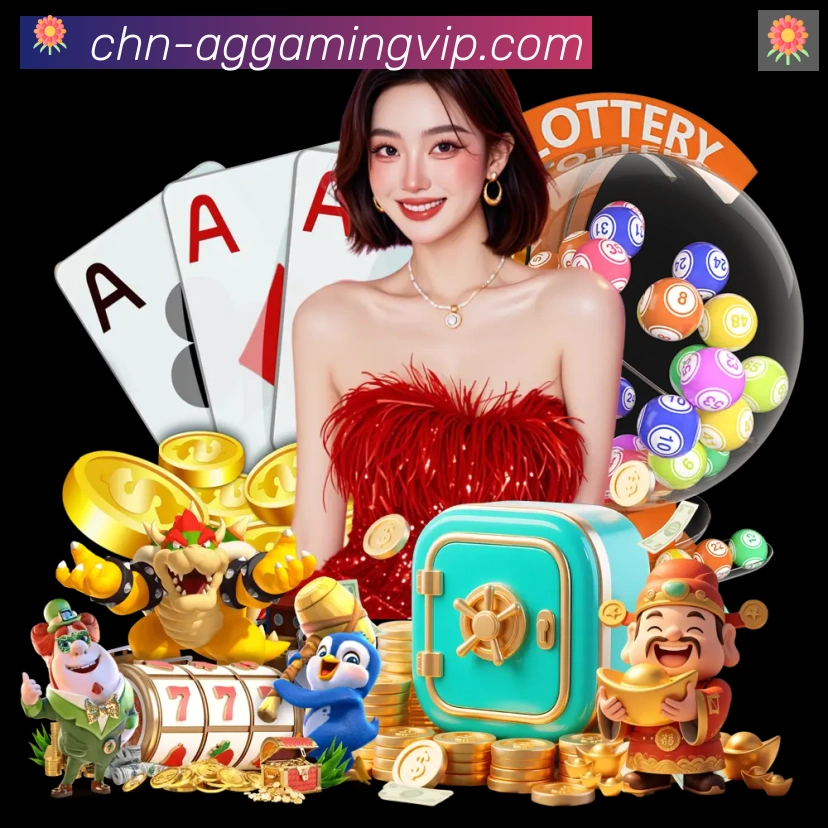 多彩内容专区