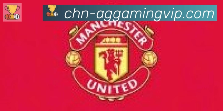 AG娱乐登录合作伙伴